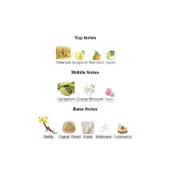 عطر مردانه لطافه آرت آف نیچر Lattafa Art of Nature II