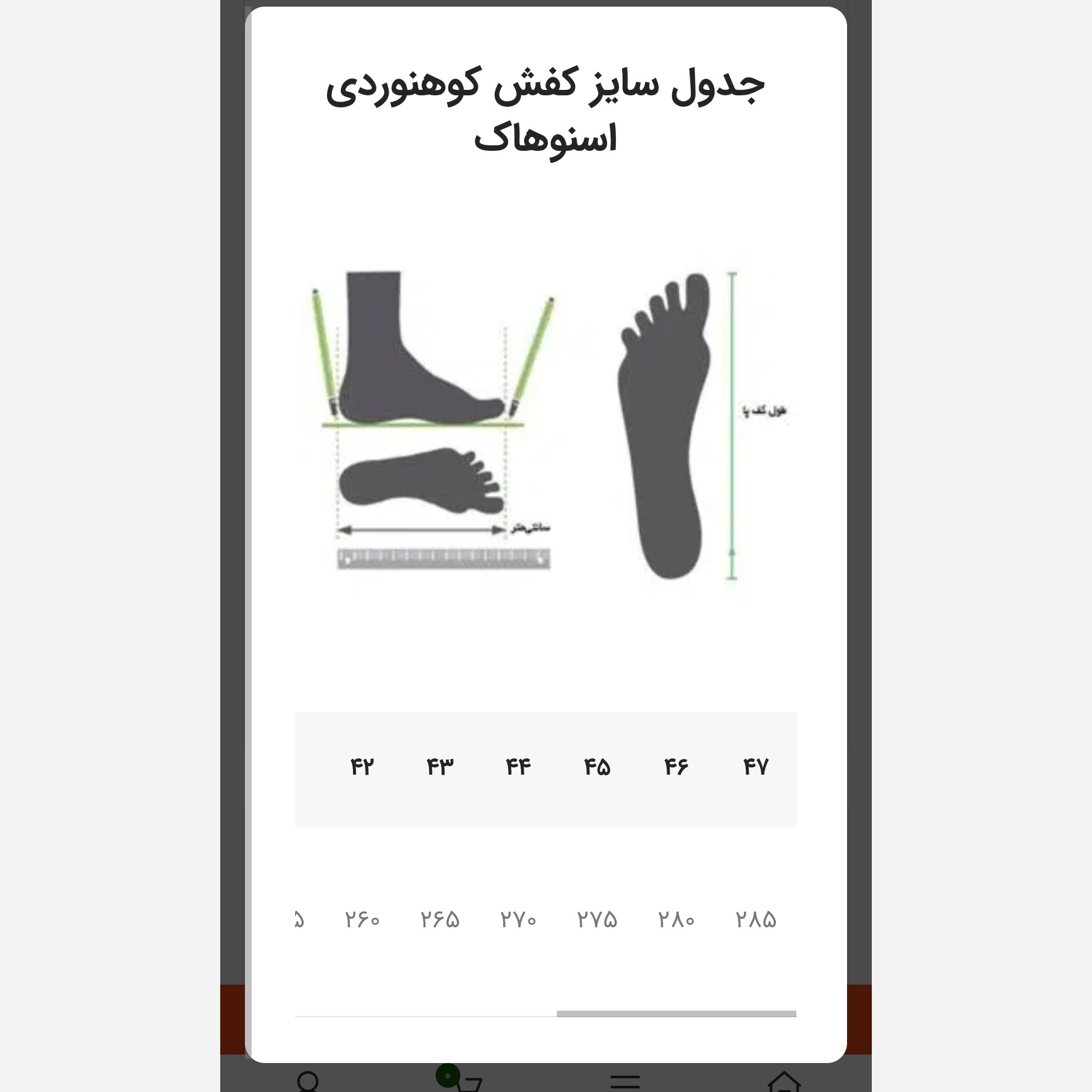 کفش ساق دار زنانه اسنوهاک مدل MOYE کد SN-S1136W